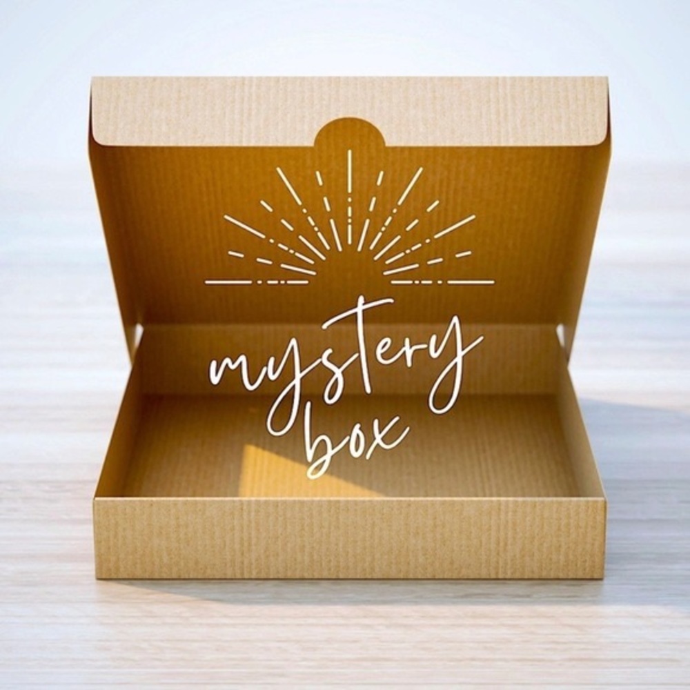 Mystery Box! 4 Items from my closet 😊📦
